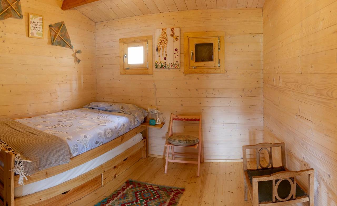 Cabana Ikizen Barbadillo del Pez Eksteriør billede